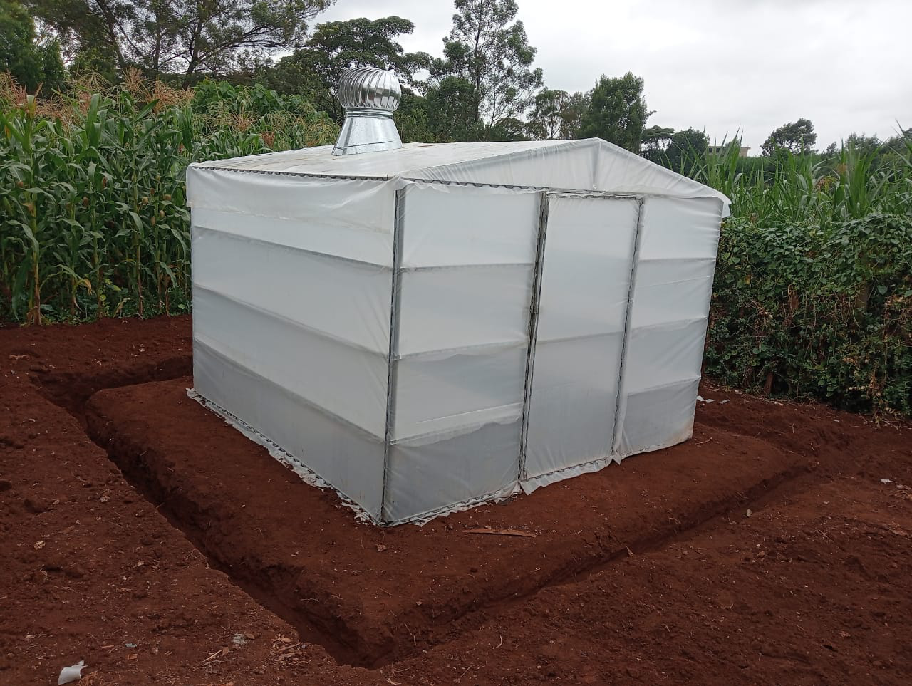 WhatsApp Image 2025-02-23 at 1.05.39 AM