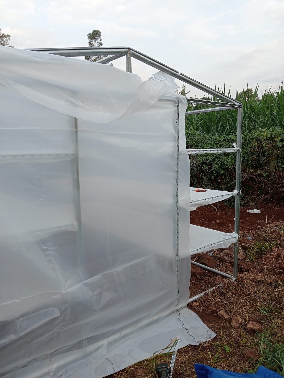 WhatsApp Image 2025-02-23 at 1.05.39 AM