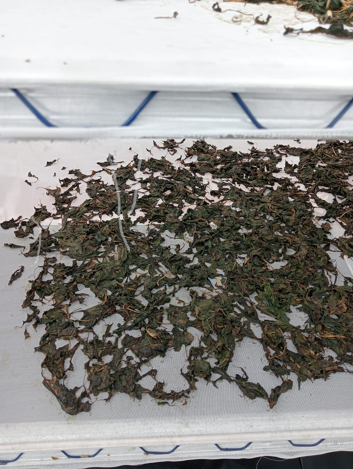 WhatsApp Image 2025-02-23 at 1.05.43 AM